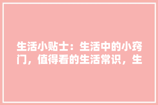 02年中级车汽车销量排行榜市场风云再起，哪些车型脱颖而出