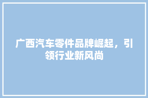 广西汽车零件品牌崛起，引领行业新风尚