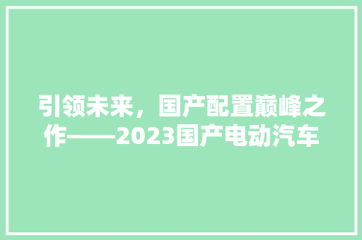 引领未来，国产配置巅峰之作——2023国产电动汽车配置排行榜