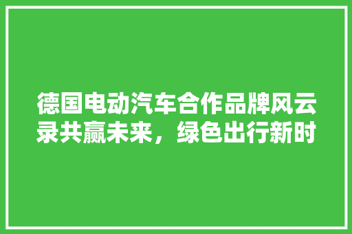 德国电动汽车合作品牌风云录共赢未来，绿色出行新时代