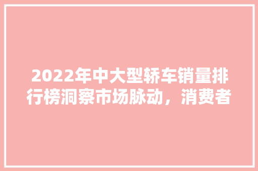 2022年中大型轿车销量排行榜洞察市场脉动，消费者偏好