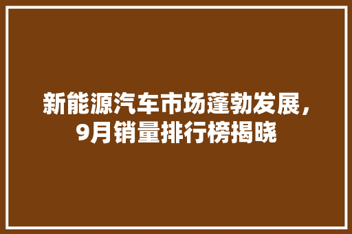 新能源汽车市场蓬勃发展，9月销量排行榜揭晓