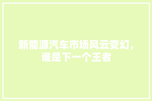 新能源汽车市场风云变幻，谁是下一个王者