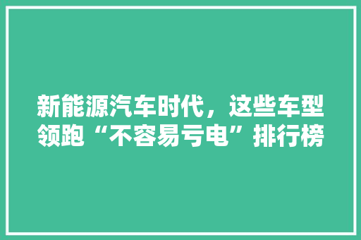 新能源汽车时代，这些车型领跑“不容易亏电”排行榜