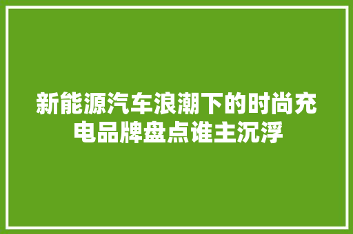 新能源汽车浪潮下的时尚充电品牌盘点谁主沉浮