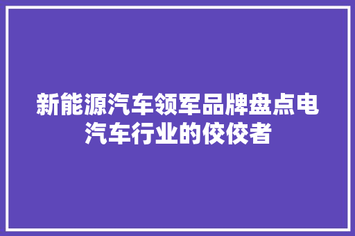 新能源汽车领军品牌盘点电汽车行业的佼佼者