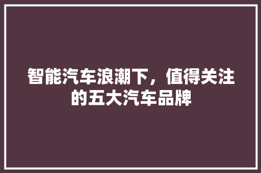 智能汽车浪潮下，值得关注的五大汽车品牌