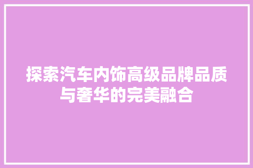 探索汽车内饰高级品牌品质与奢华的完美融合