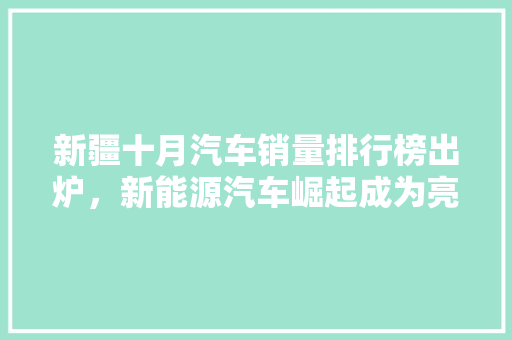 新疆十月汽车销量排行榜出炉，新能源汽车崛起成为亮点