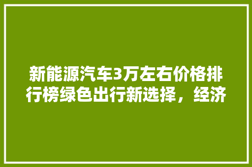 新能源汽车3万左右价格排行榜绿色出行新选择，经济实惠两不误