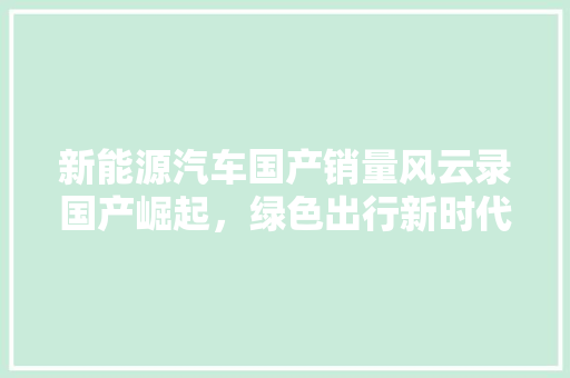 新能源汽车国产销量风云录国产崛起，绿色出行新时代