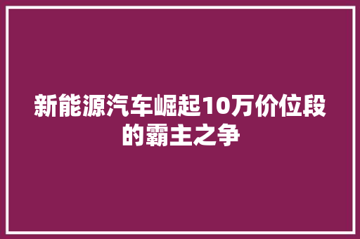 新能源汽车崛起10万价位段的霸主之争