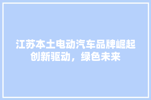 江苏本土电动汽车品牌崛起创新驱动，绿色未来