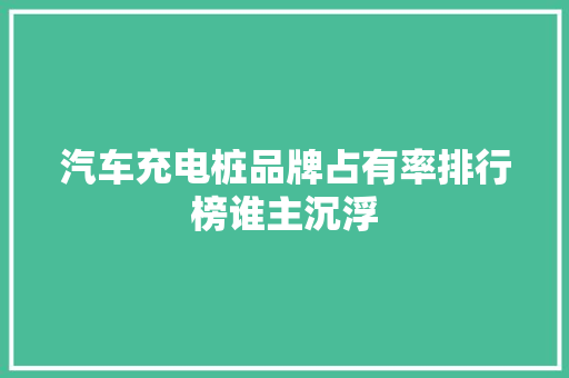 汽车充电桩品牌占有率排行榜谁主沉浮