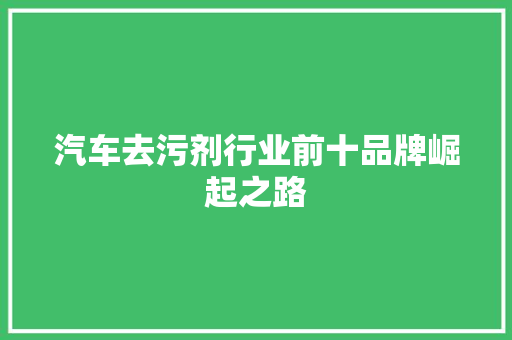 汽车去污剂行业前十品牌崛起之路