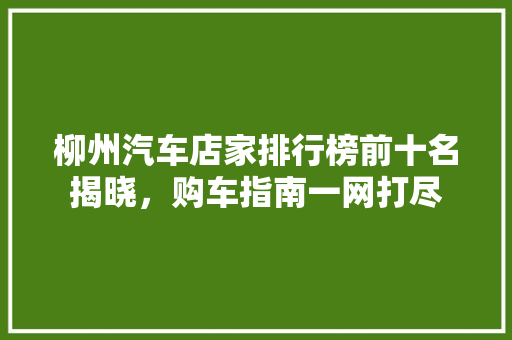 柳州汽车店家排行榜前十名揭晓，购车指南一网打尽