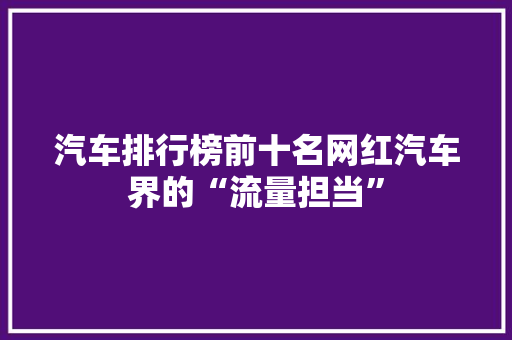 汽车排行榜前十名网红汽车界的“流量担当”