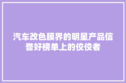 汽车改色膜界的明星产品信誉好榜单上的佼佼者