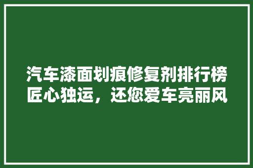 汽车漆面划痕修复剂排行榜匠心独运，还您爱车亮丽风采