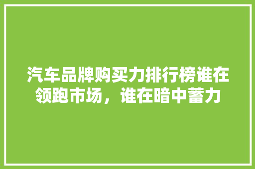汽车品牌购买力排行榜谁在领跑市场，谁在暗中蓄力