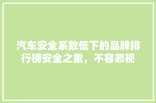 汽车安全系数低下的品牌排行榜安全之重，不容忽视