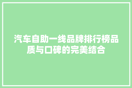 汽车自助一线品牌排行榜品质与口碑的完美结合