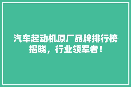 汽车起动机原厂品牌排行榜揭晓，行业领军者！