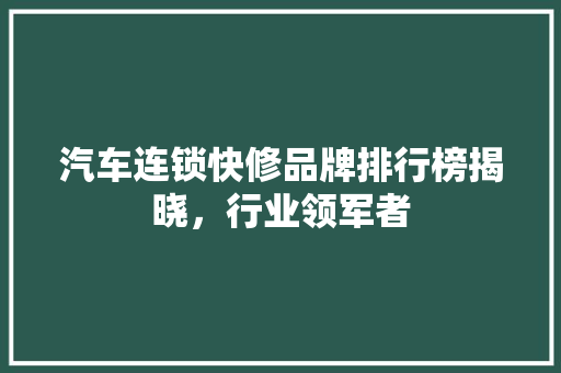 汽车连锁快修品牌排行榜揭晓，行业领军者