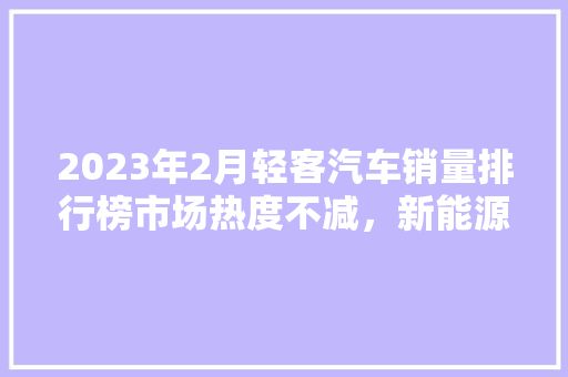 2023年2月轻客汽车销量排行榜市场热度不减，新能源汽车强势崛起