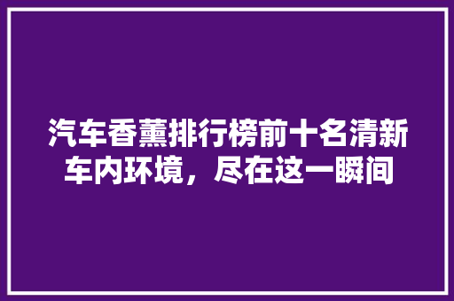 汽车香薰排行榜前十名清新车内环境，尽在这一瞬间