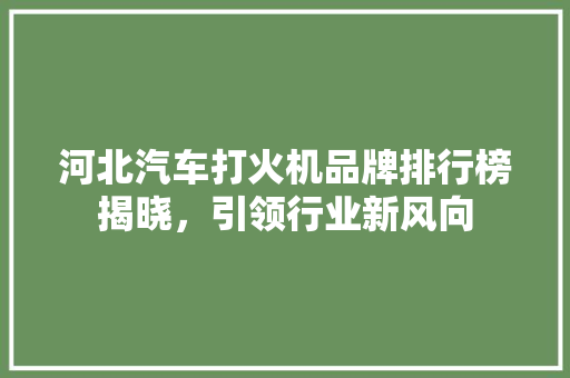 河北汽车打火机品牌排行榜揭晓，引领行业新风向