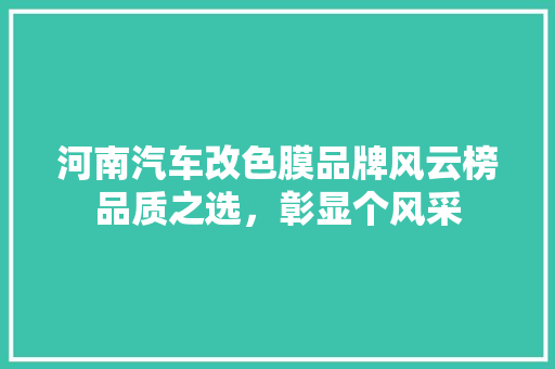 河南汽车改色膜品牌风云榜品质之选，彰显个风采