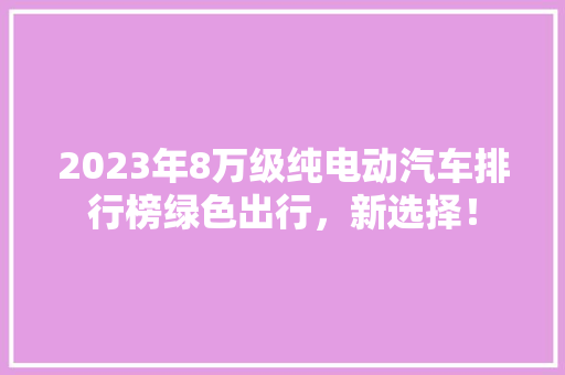 2023年8万级纯电动汽车排行榜绿色出行，新选择！