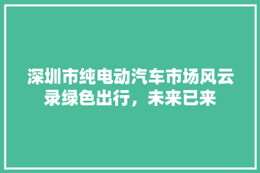 深圳市纯电动汽车市场风云录绿色出行，未来已来