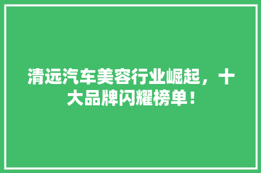 清远汽车美容行业崛起，十大品牌闪耀榜单！