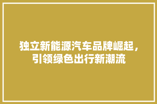 独立新能源汽车品牌崛起，引领绿色出行新潮流