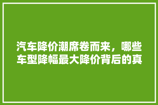 汽车降价潮席卷而来，哪些车型降幅最大降价背后的真相！