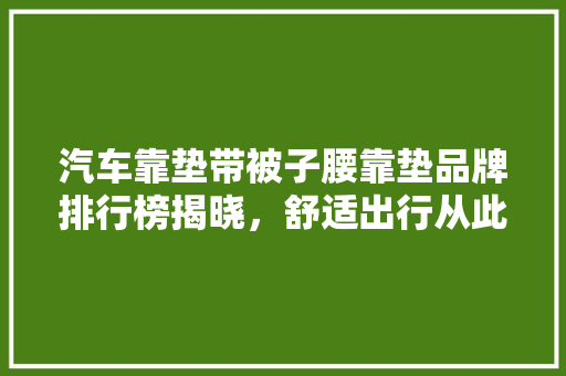 汽车靠垫带被子腰靠垫品牌排行榜揭晓，舒适出行从此不再遥远