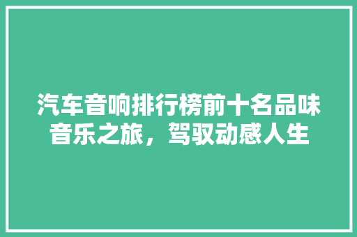 汽车音响排行榜前十名品味音乐之旅，驾驭动感人生