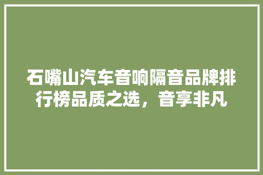 石嘴山汽车音响隔音品牌排行榜品质之选，音享非凡