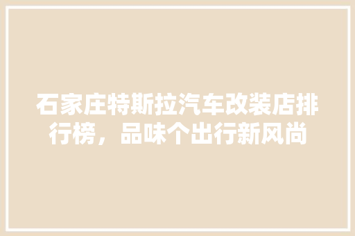 石家庄特斯拉汽车改装店排行榜，品味个出行新风尚