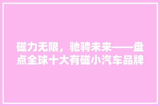 磁力无限，驰骋未来——盘点全球十大有磁小汽车品牌
