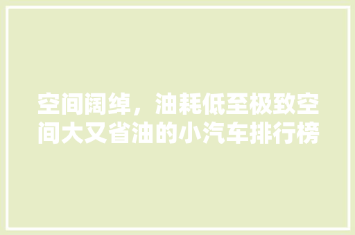 空间阔绰，油耗低至极致空间大又省油的小汽车排行榜