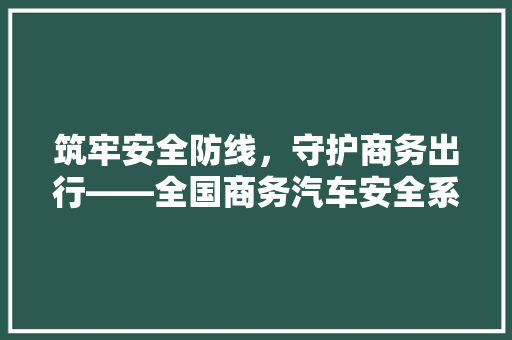 筑牢安全防线，守护商务出行——全国商务汽车安全系数排行榜详细解读