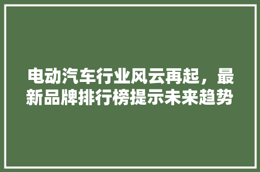 电动汽车行业风云再起，最新品牌排行榜提示未来趋势