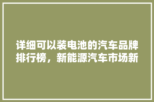 详细可以装电池的汽车品牌排行榜，新能源汽车市场新格局
