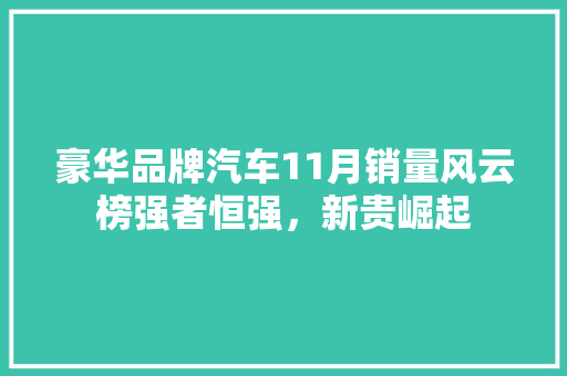 豪华品牌汽车11月销量风云榜强者恒强，新贵崛起