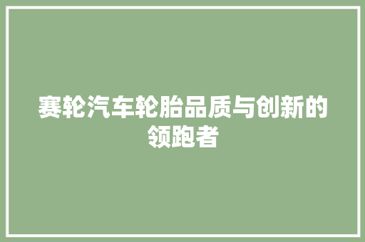 赛轮汽车轮胎品质与创新的领跑者