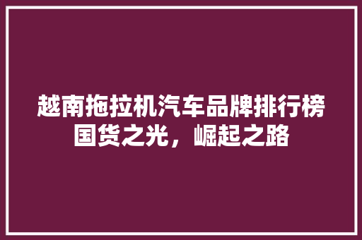 越南拖拉机汽车品牌排行榜国货之光，崛起之路