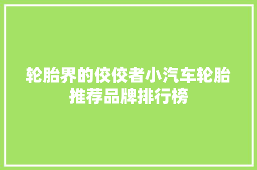 轮胎界的佼佼者小汽车轮胎推荐品牌排行榜